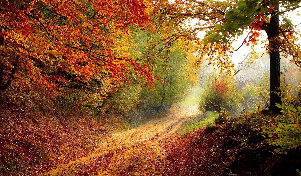 Mountain highway through high terrain at sunset (stock photo).