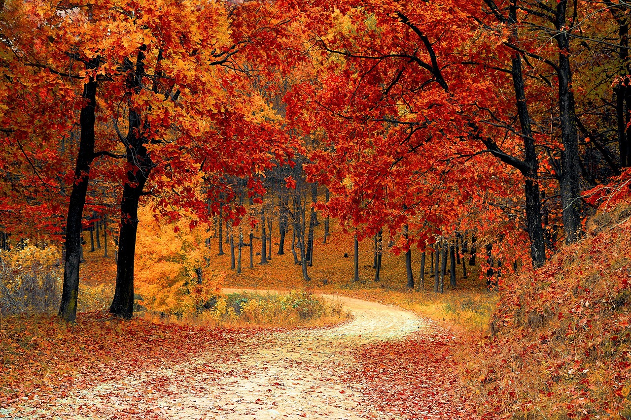Road through mountain valley — access and outdoor corridor (stock photo).